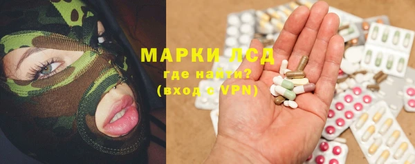 a pvp Аркадак