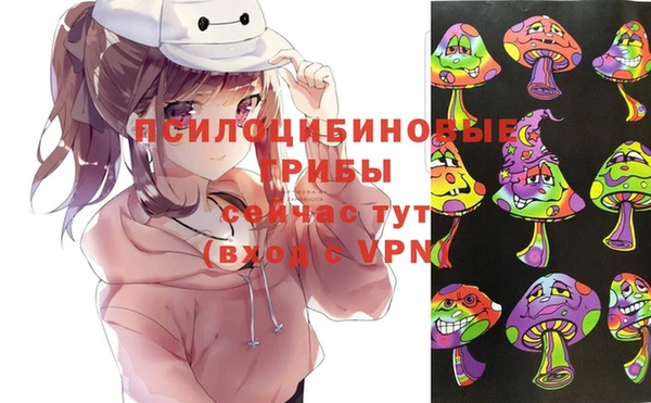 a pvp Аркадак