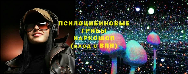 бошки Алзамай