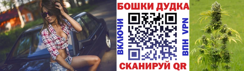 Бошки Шишки MAZAR  купить   Талица 